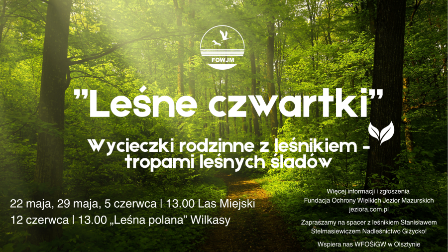 Na Mazury i do lasu. Startuje akcja „Leśne Czwartki”